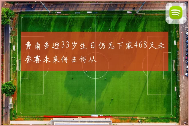 费南多迎33岁生日仍无下家468天未参赛未来何去何从
